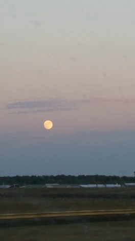 snapchat-2020169082845545161