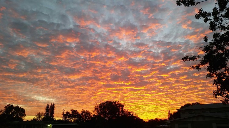 Sunset Beauty - proud beauties