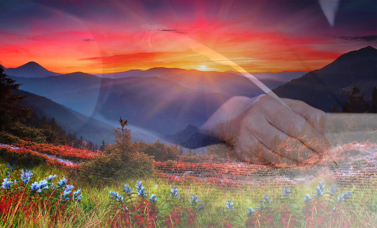 Find-Yourself,-Live-your-Truth