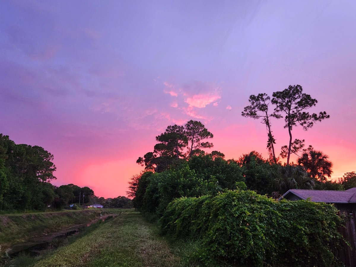 I Can Only Do For Me, What You Must Do For&nbsp;You.